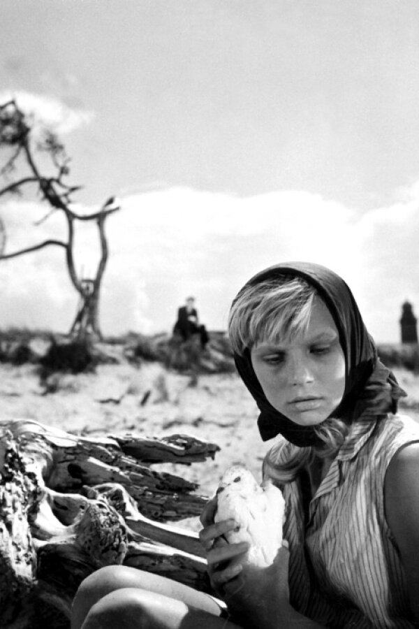 Holubice (František Vláčil, 1960)